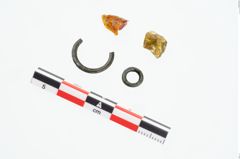 Foto von Bronzering (NHMW-PRAE-026168)